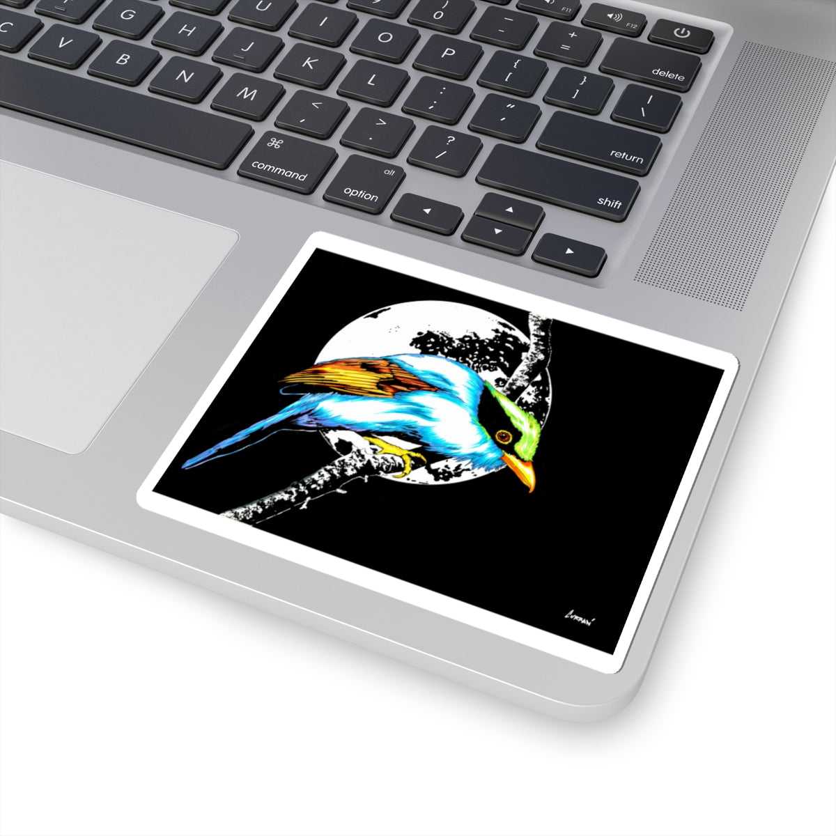Unleash your creativity with our Vibrant Bird Moon Kiss-Cut Stickers - Perfect Gift for all occasions! Stick them anywhere and stand out from the crowd.