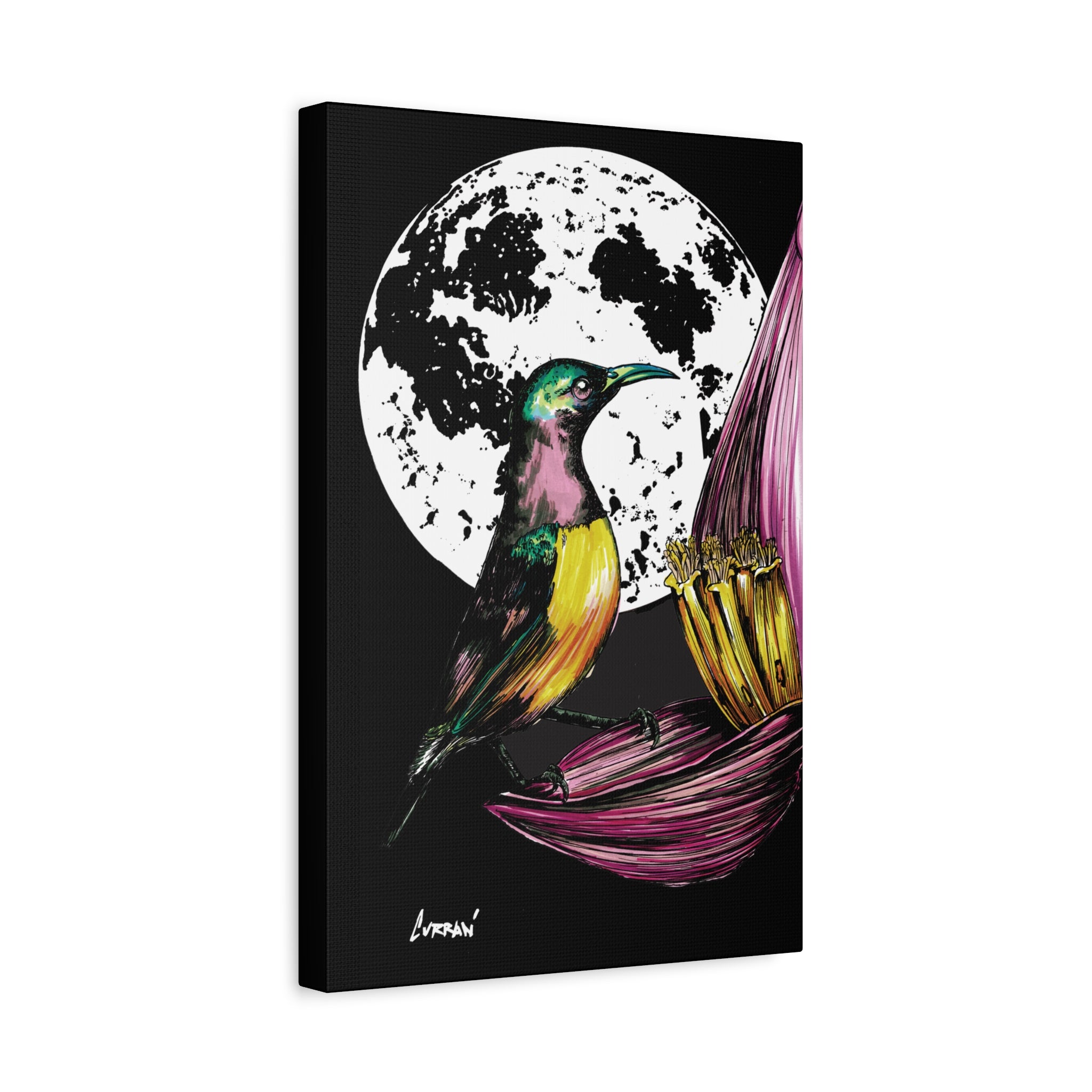 Hummingbird Wall Art Print of the Original, hand drawn