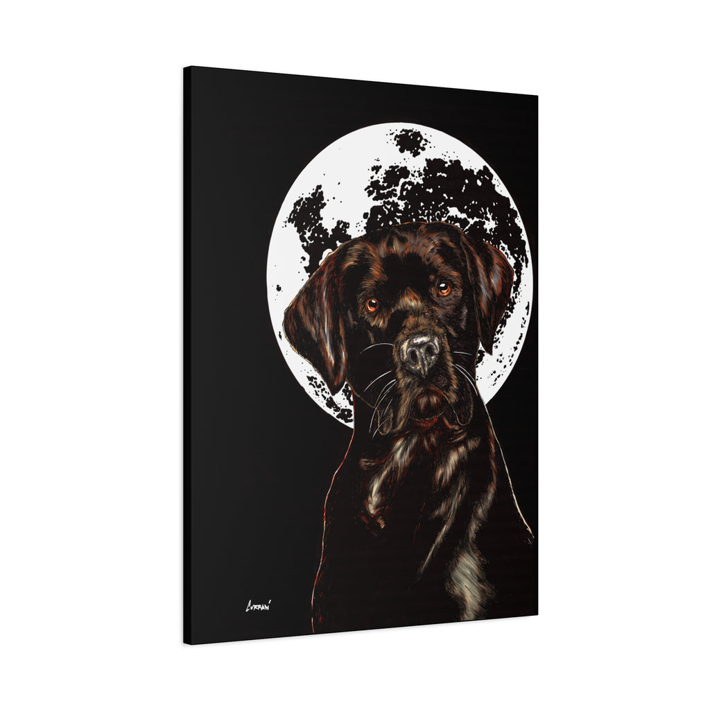 Chocolate Lab in Moonlight Wall Art Print of the Original