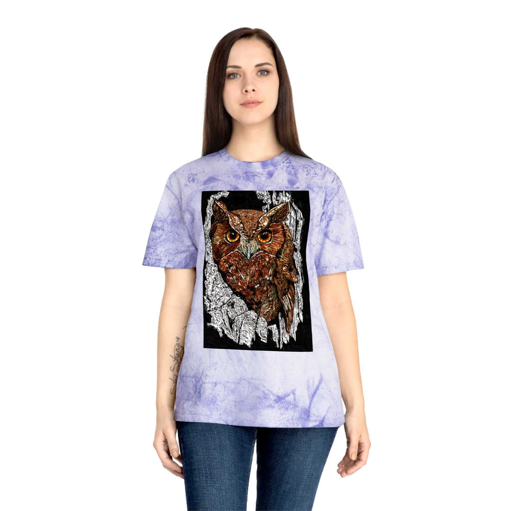 Owl in a Tree Color Blast T Shirt Original Hand Drawn Art