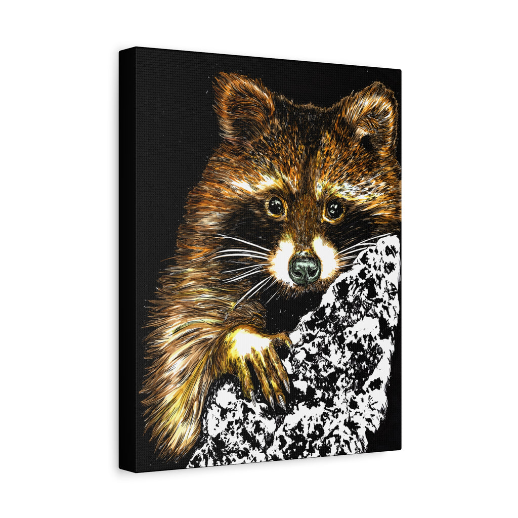 Raccoon in Tree Wall Art Canvas Print of the Original, hand drawn animal wall art poster of a Raccoon in a Tree by artist Kris Curran at Curran Artworks.