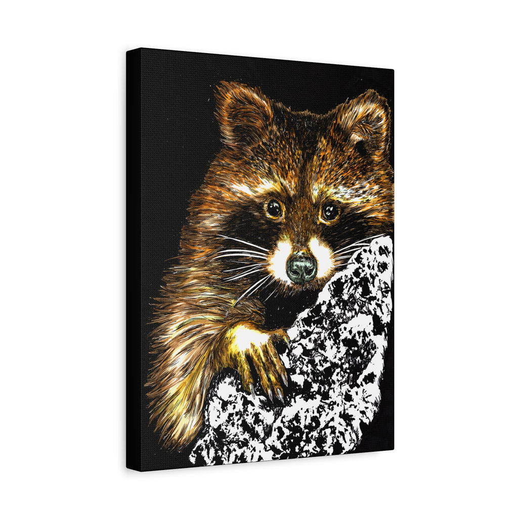 Raccoon in Tree Wall Art Canvas Print of the Original, hand drawn animal wall art poster of a Raccoon in a Tree by artist Kris Curran at Curran Artworks.