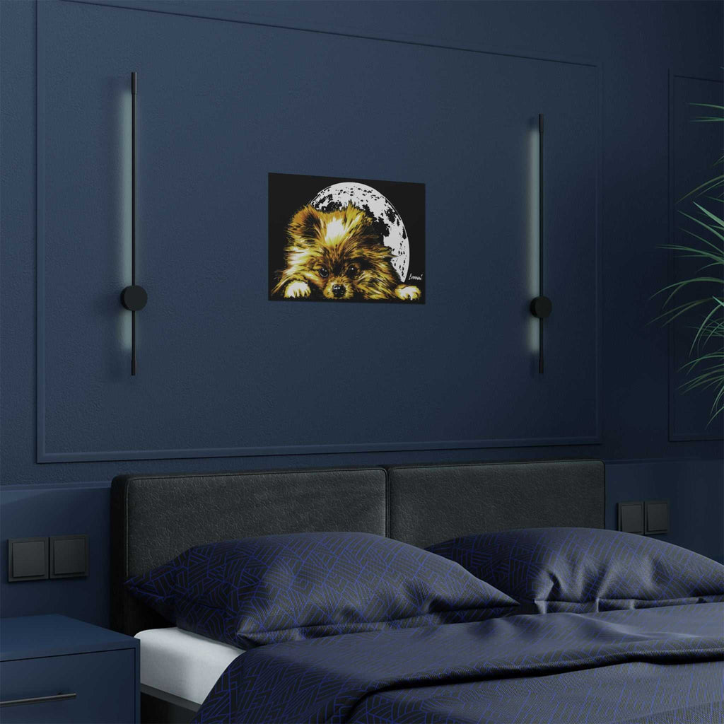 Beautiful Pomeranian Art Print