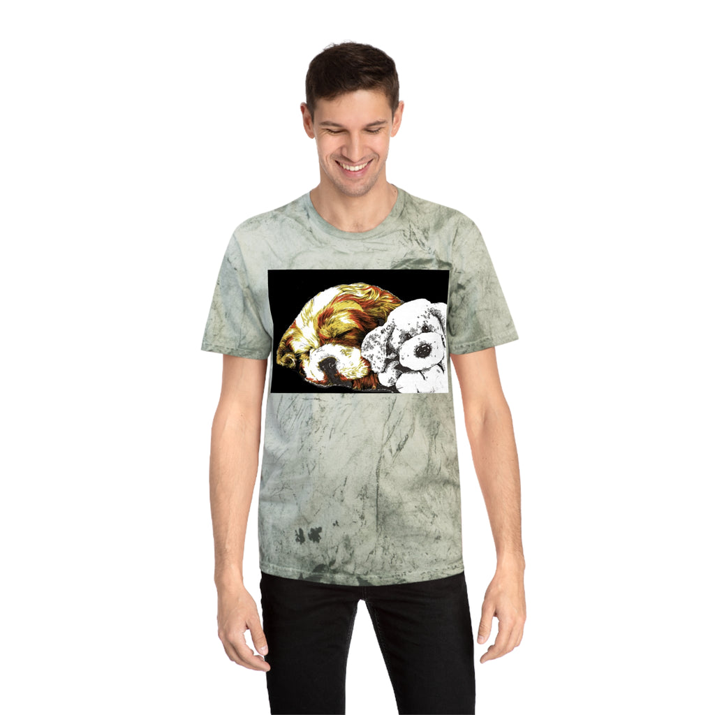 Color Blast Cocker Spaniel Unisex T-Shirt