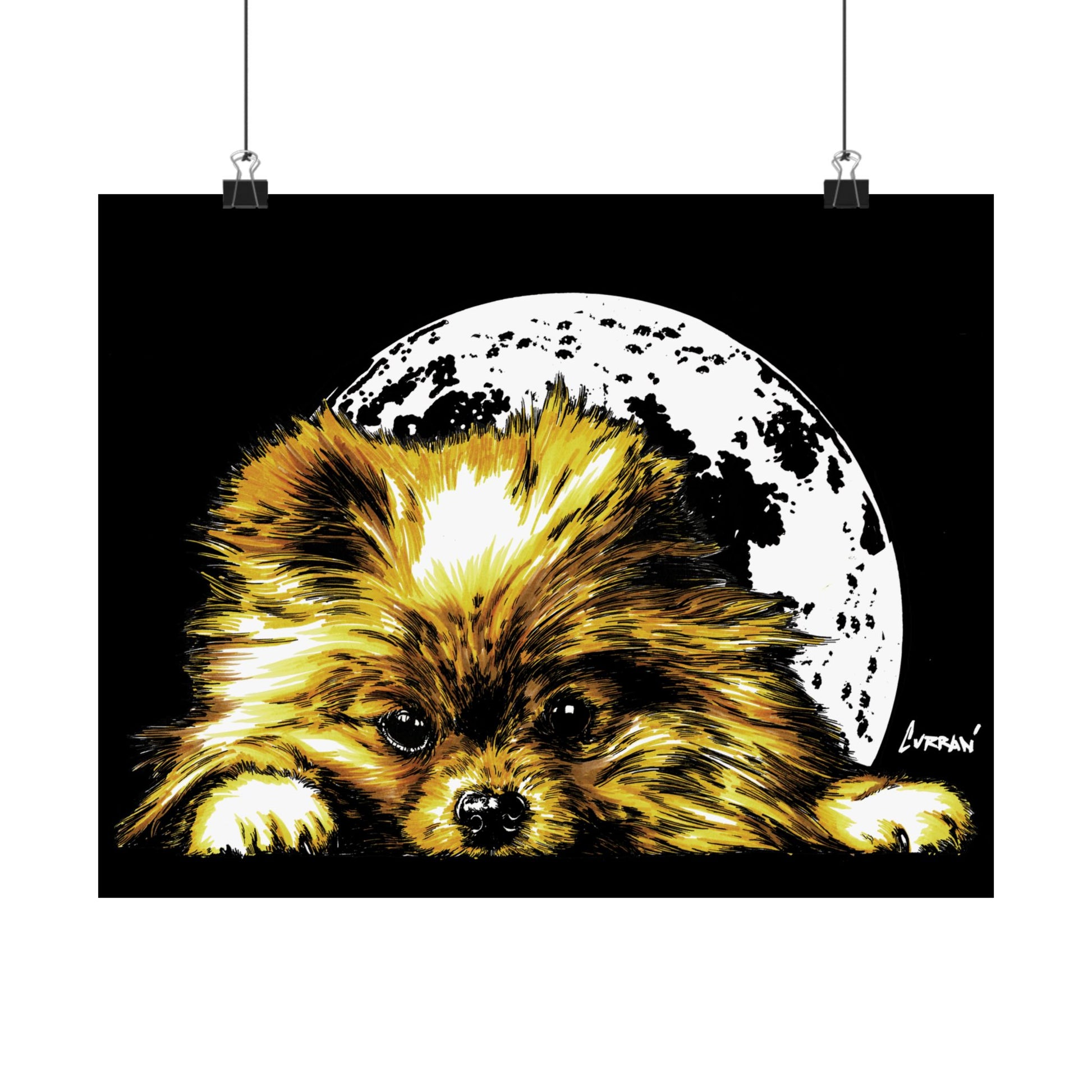 Beautiful Pomeranian Art Print - Satin Poster (300gsm)