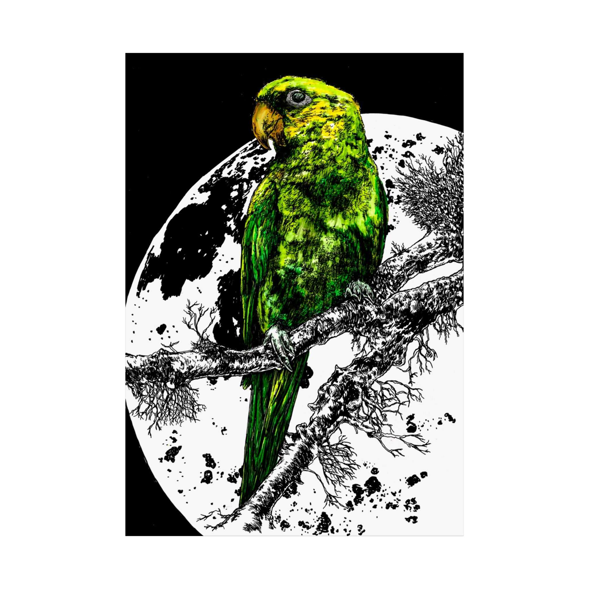 Green Parrot Satin Poster - Colorful Wall Art for Home Decor featuring the beautifully hand drawn and colored original wall art animal poster by Kris Curran.