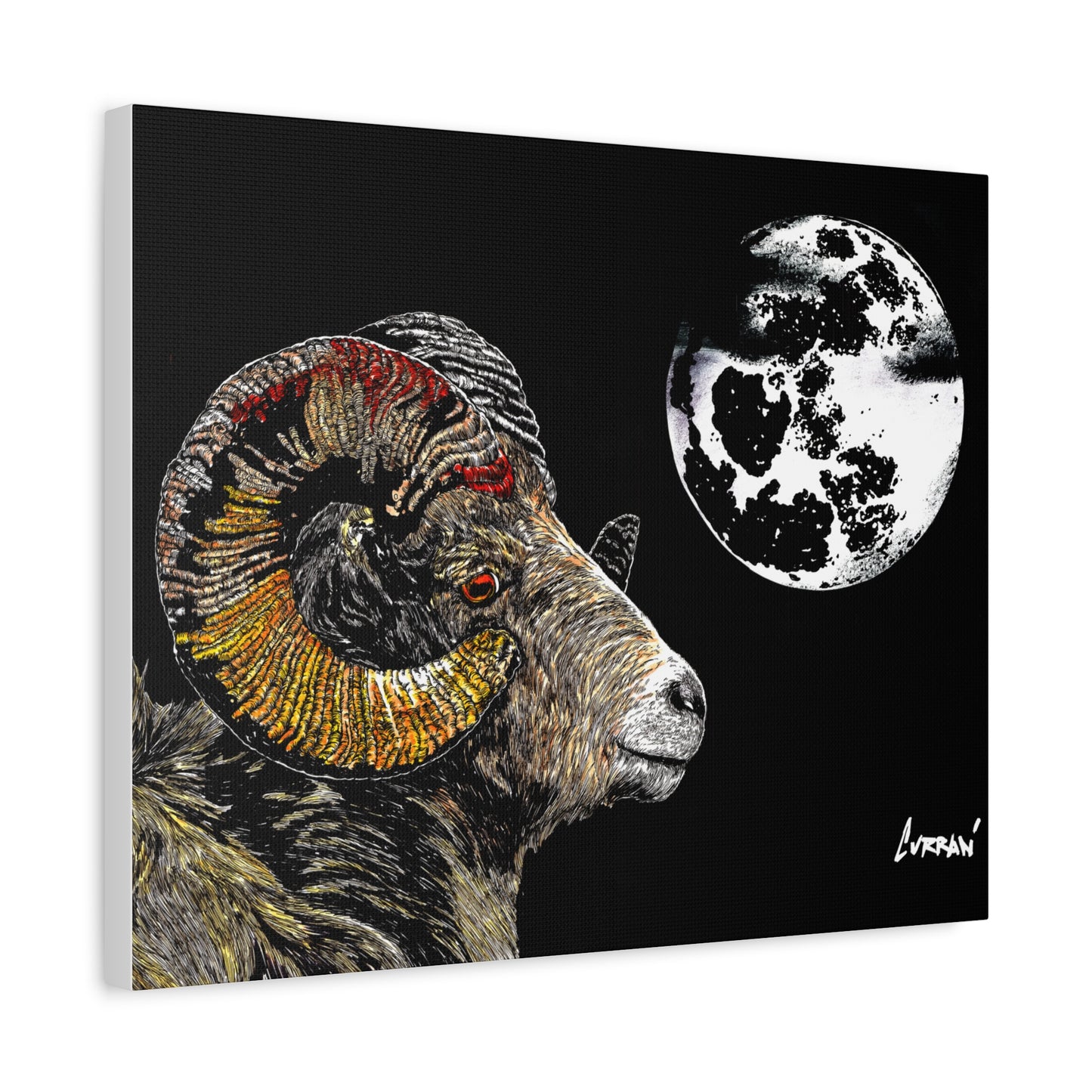 Mountain Ram Canvas Print - Art Print on Stretched Canvas