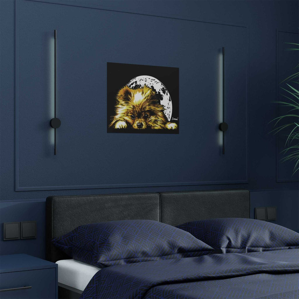 Beautiful Pomeranian Art Print