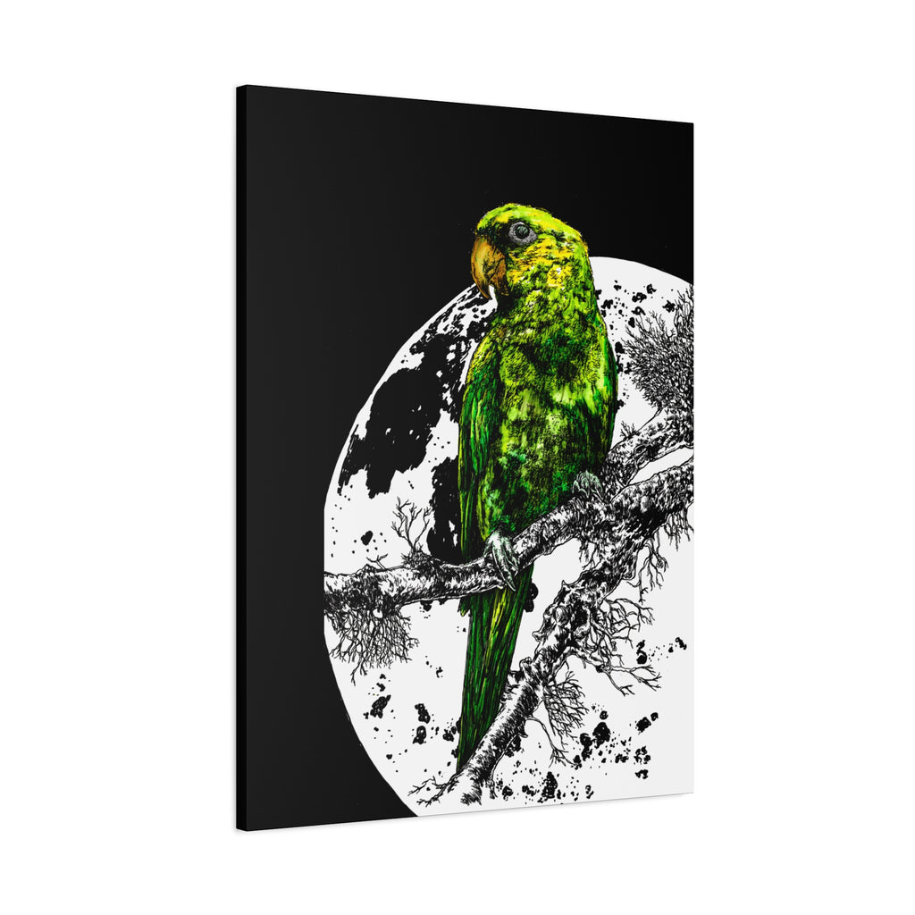 Green Parrot Wall Art Print - Matte Canvas, Stretched,