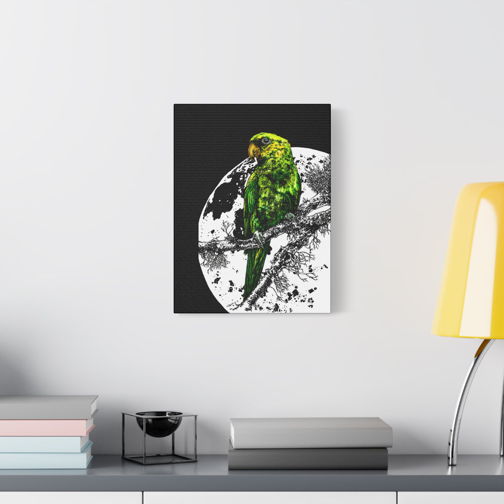 Green Parrot Wall Art Print - Matte Canvas, Stretched,