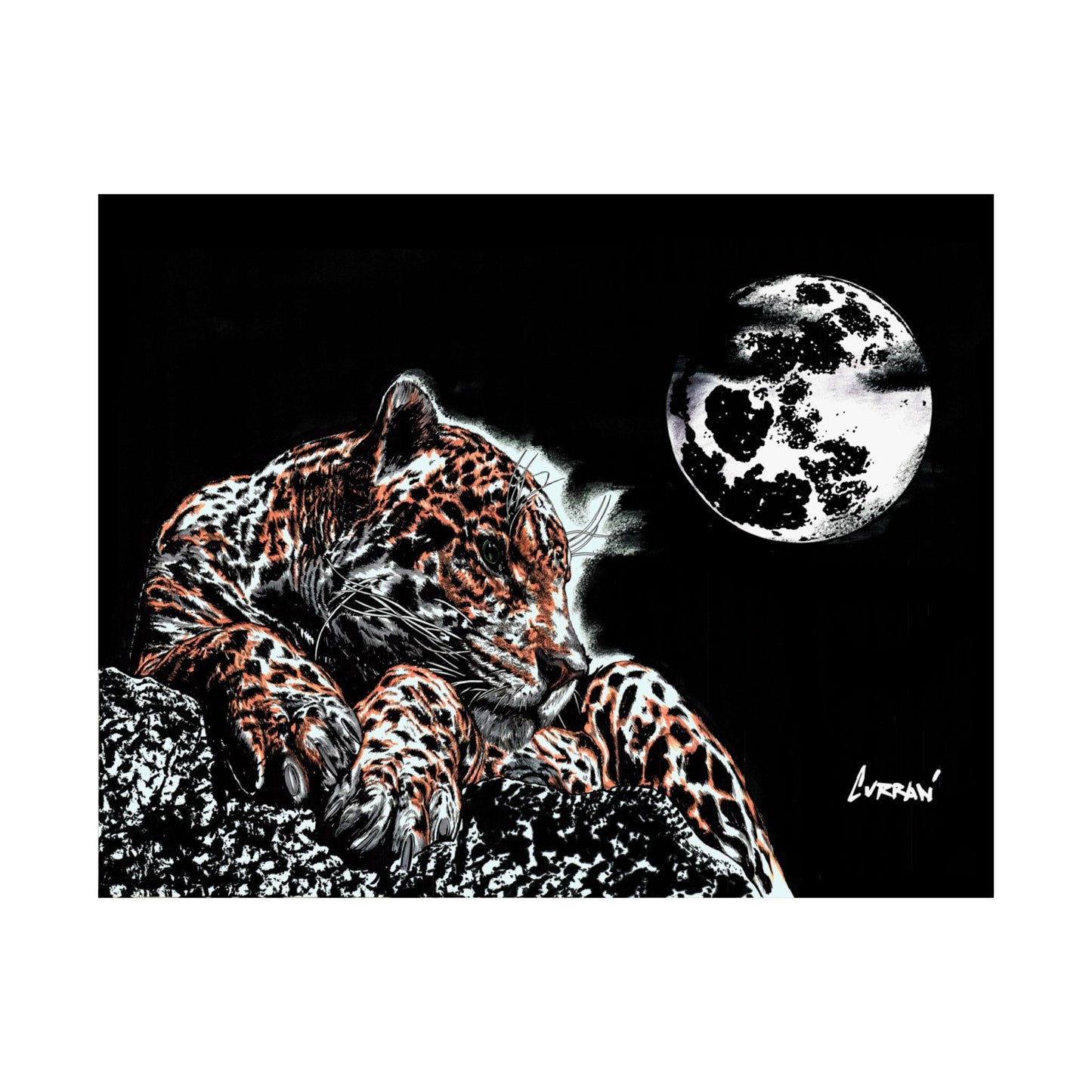 Majestic Leopard Satin Poster (300gsm) - Moonlit Wildlife Art