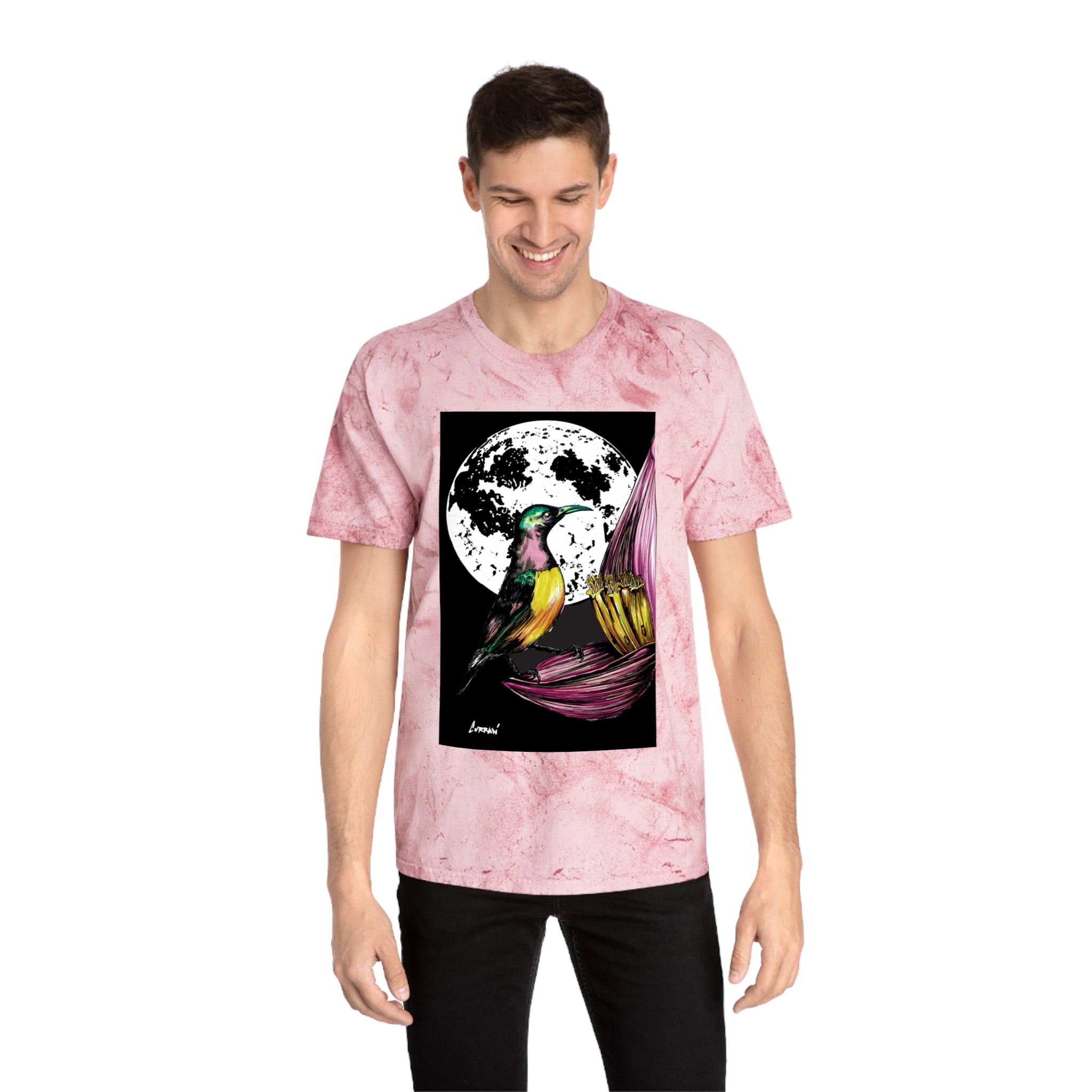 Colorful Hummingbird Art Unisex T Shirt Nature Design