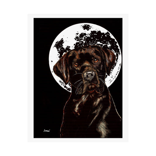 Chocolate Lab Dog Moonlight Satin Poster