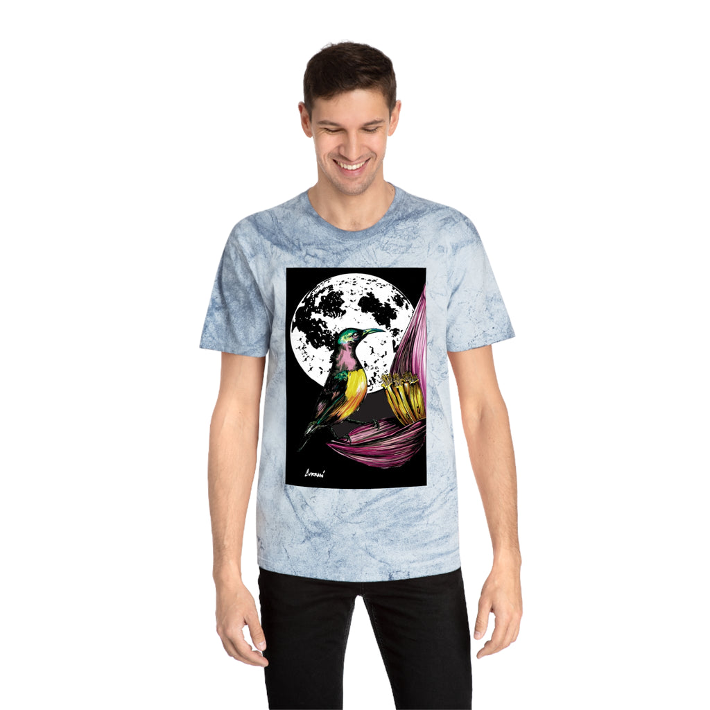 Colorful Hummingbird Art Unisex T Shirt Nature Design