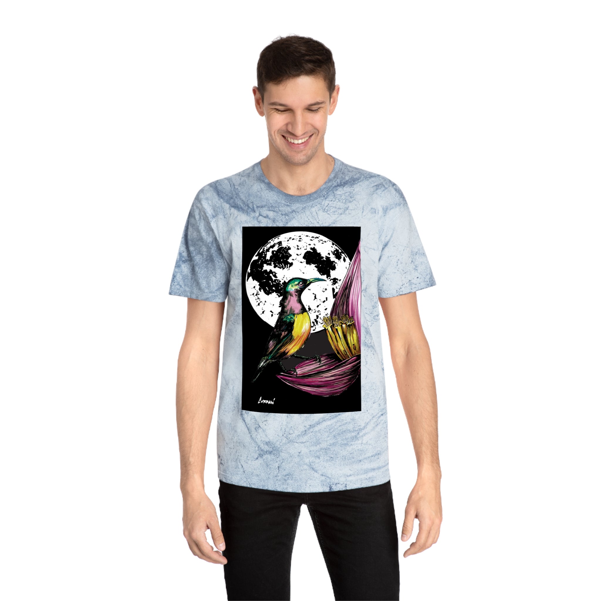 Colorful Hummingbird Art Unisex T Shirt Nature Design