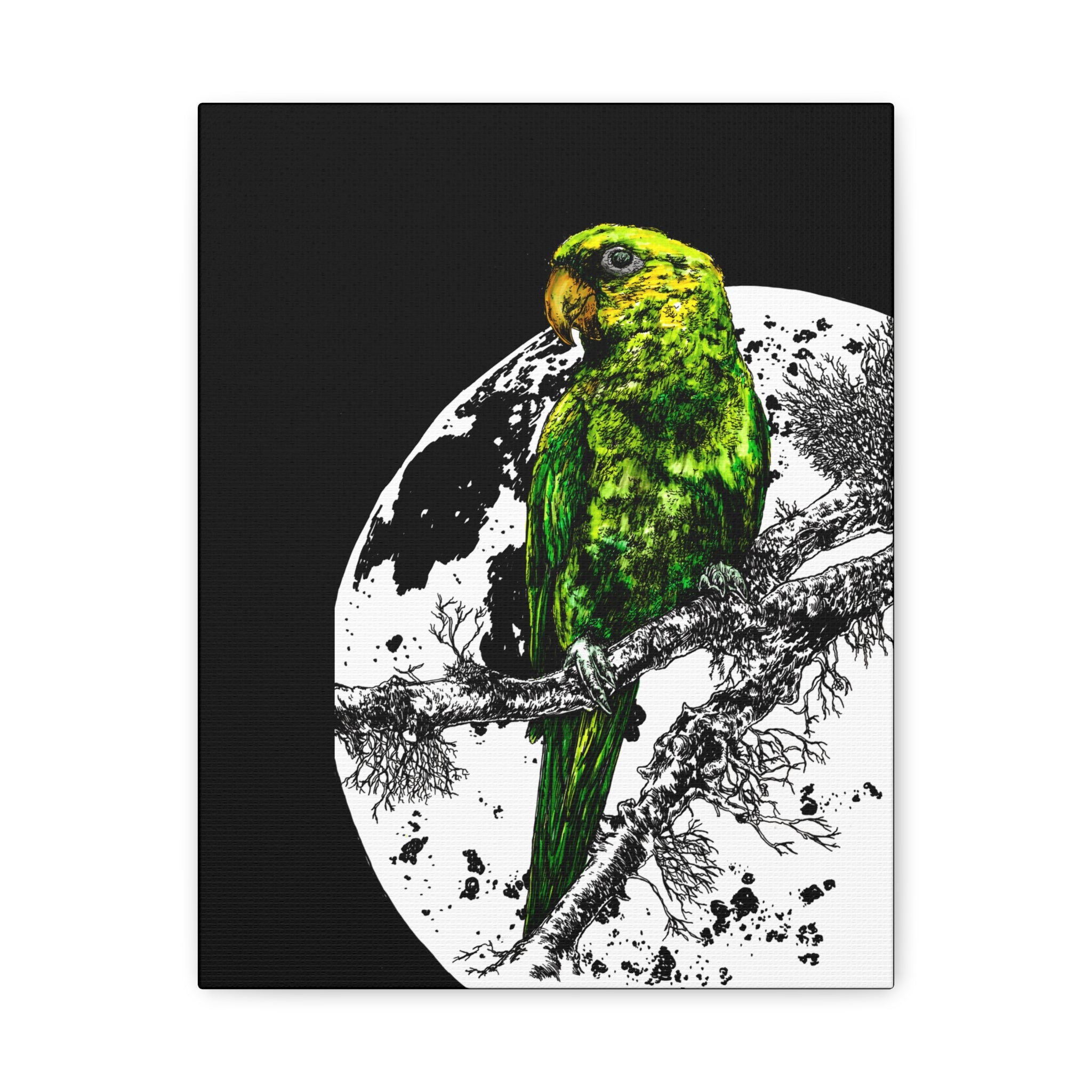 Green Parrot Wall Art Print - Matte Canvas, Stretched,