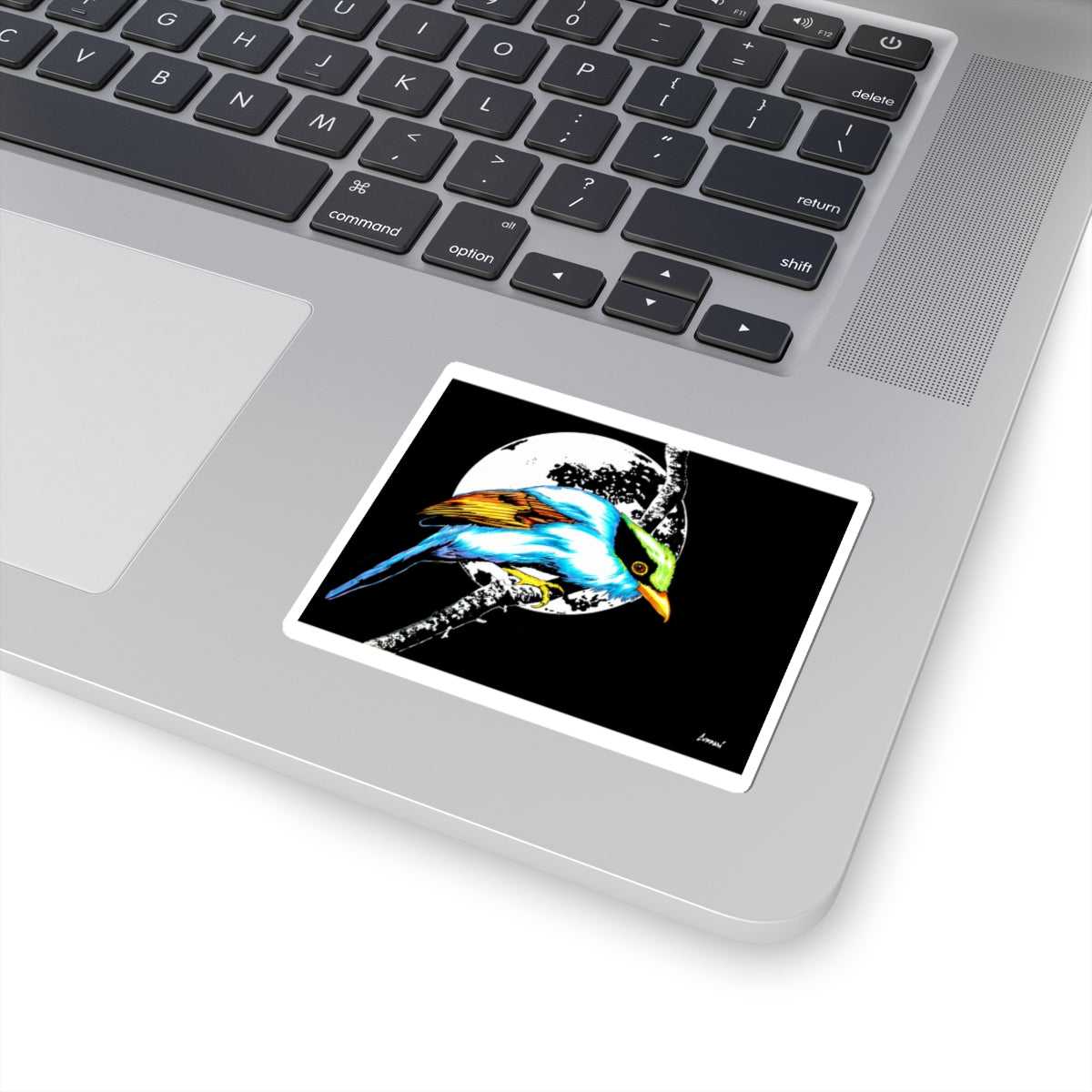 Unleash your creativity with our Vibrant Bird Moon Kiss-Cut Stickers - Perfect Gift for all occasions! Stick them anywhere and stand out from the crowd.