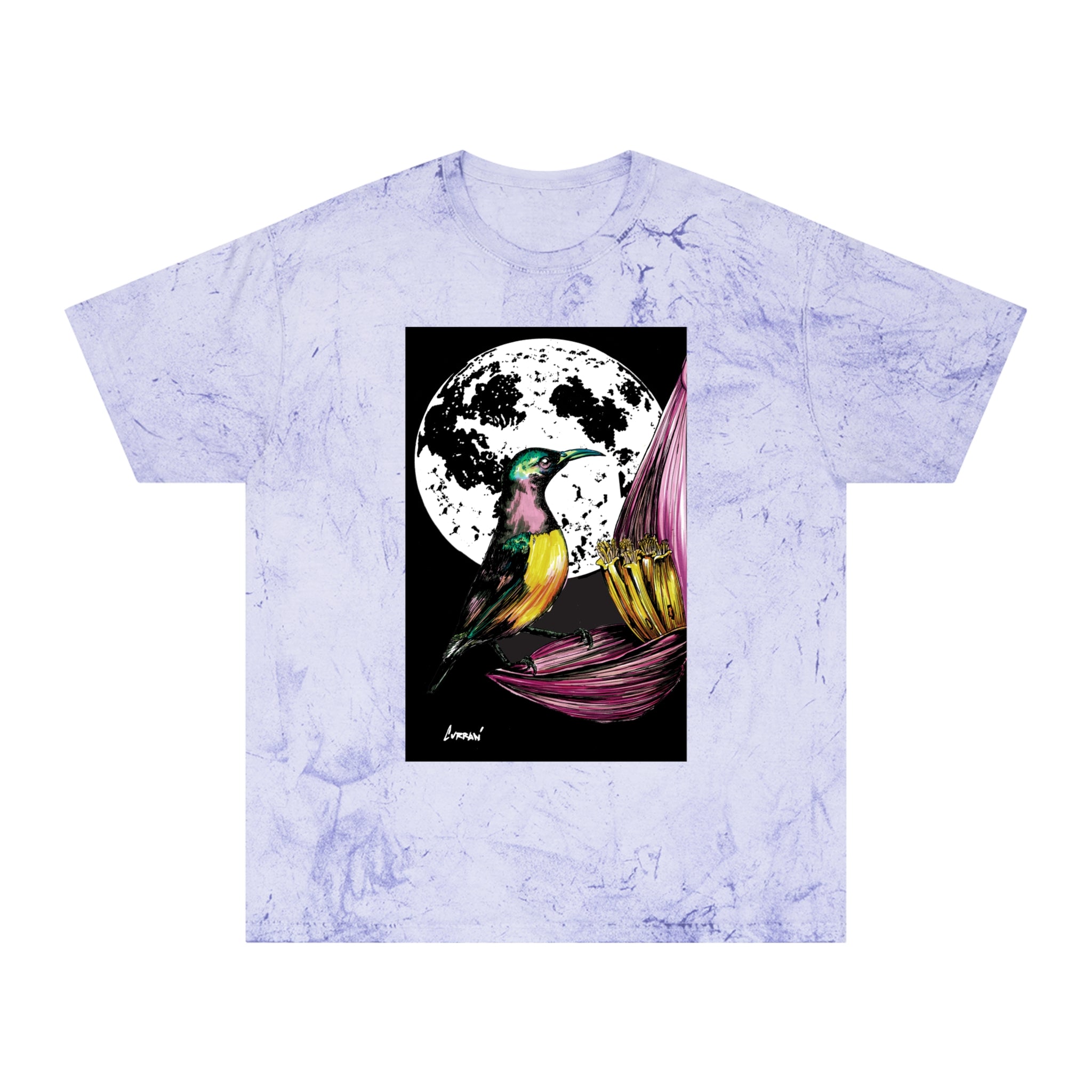 Colorful Hummingbird Art Unisex T Shirt Nature Design