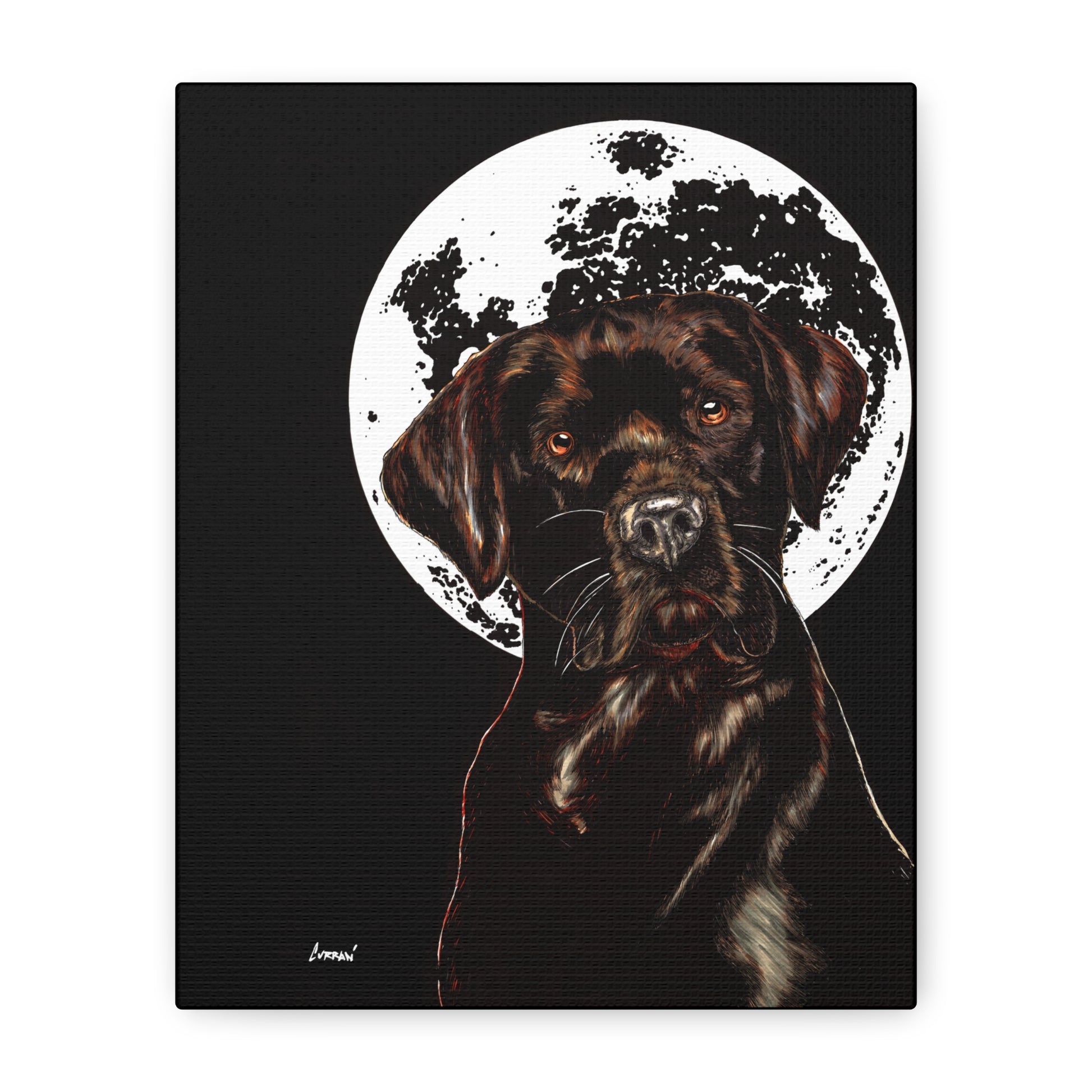 Chocolate Lab in Moonlight Wall Art Print of the Original