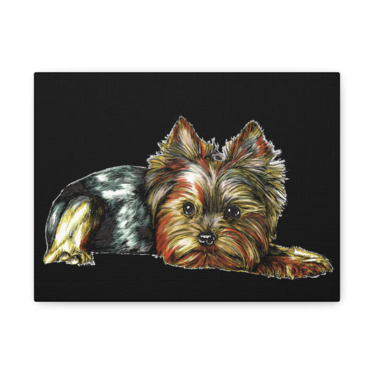 Yorkshire Terrier Canvas Art - Cute Dog Stretched Print for Pet Lovers