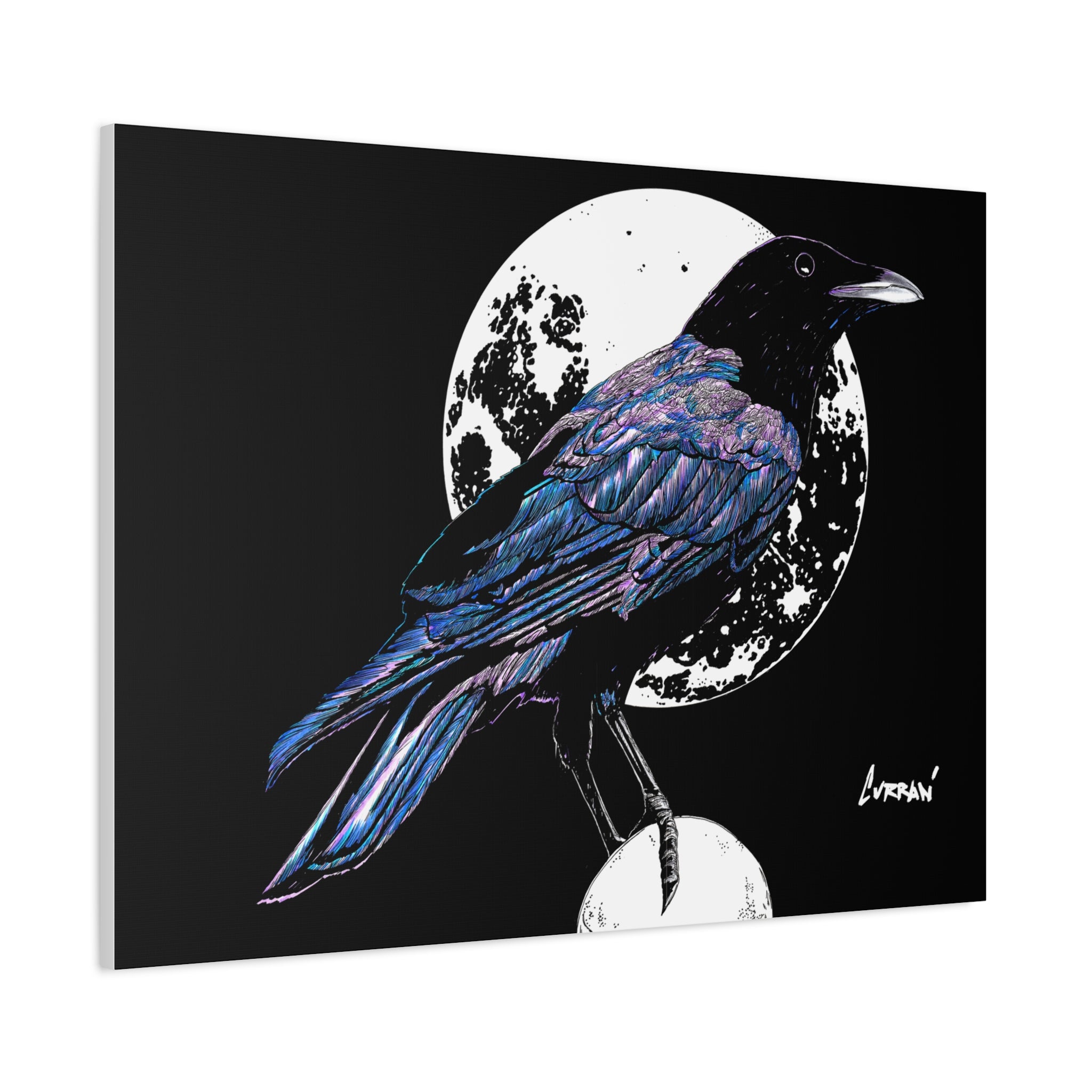 Crow Art – Original Hand-Drawn Unique, Detailed Illustration