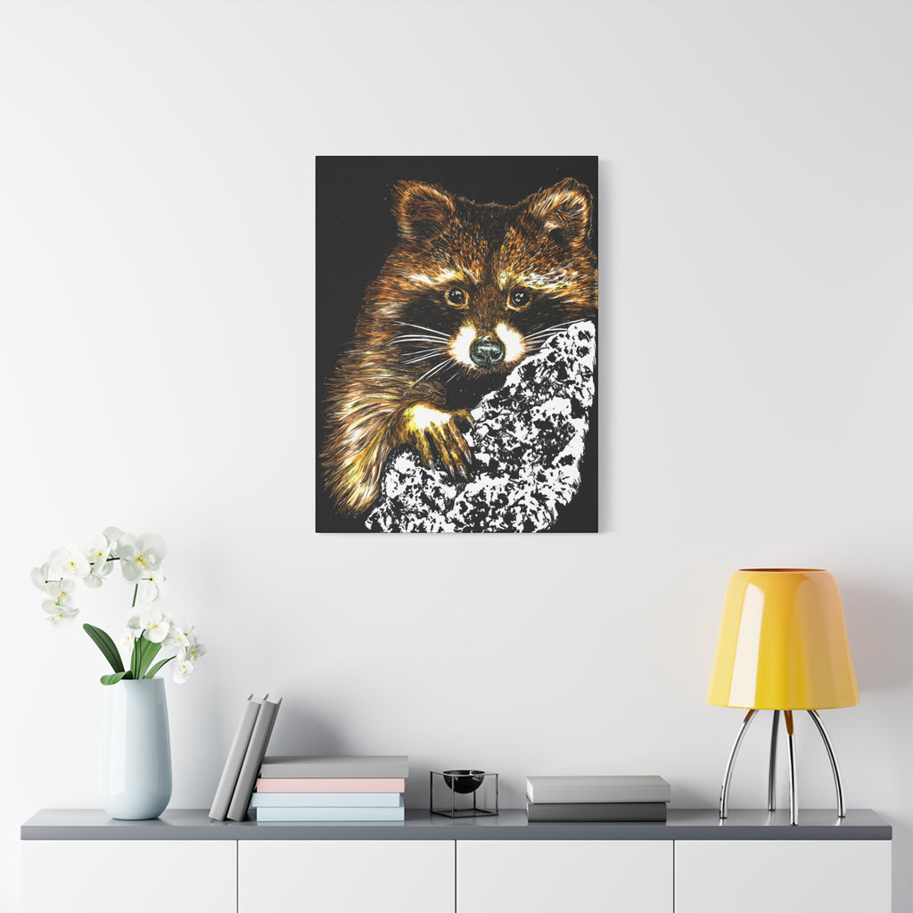 Raccoon in Tree Wall Art Canvas Print of the Original, hand drawn animal wall art poster of a Raccoon in a Tree by artist Kris Curran at Curran Artworks.