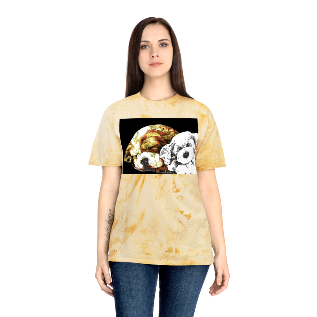 Color Blast Cocker Spaniel Unisex T-Shirt