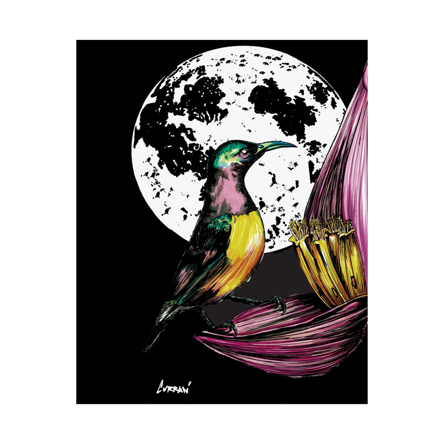 Vibrant Bird Satin Poster - 300gsm Art Print for Nature Lovers