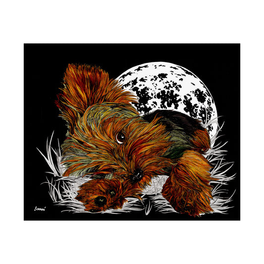 Yorkshire Terrier Satin Poster - 300gsm Art Print for Dog Lovers