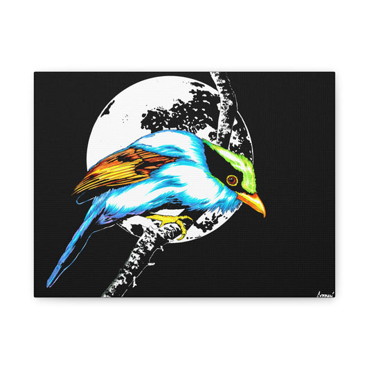 Exotic Bird Canvas Art – Original Hand-Drawn Vibrant,