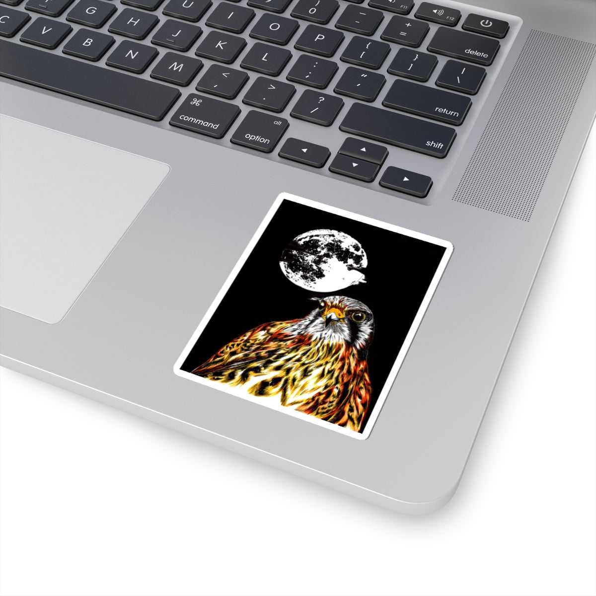 Falcon Kiss-Cut Stickers | Nature-Inspired Art