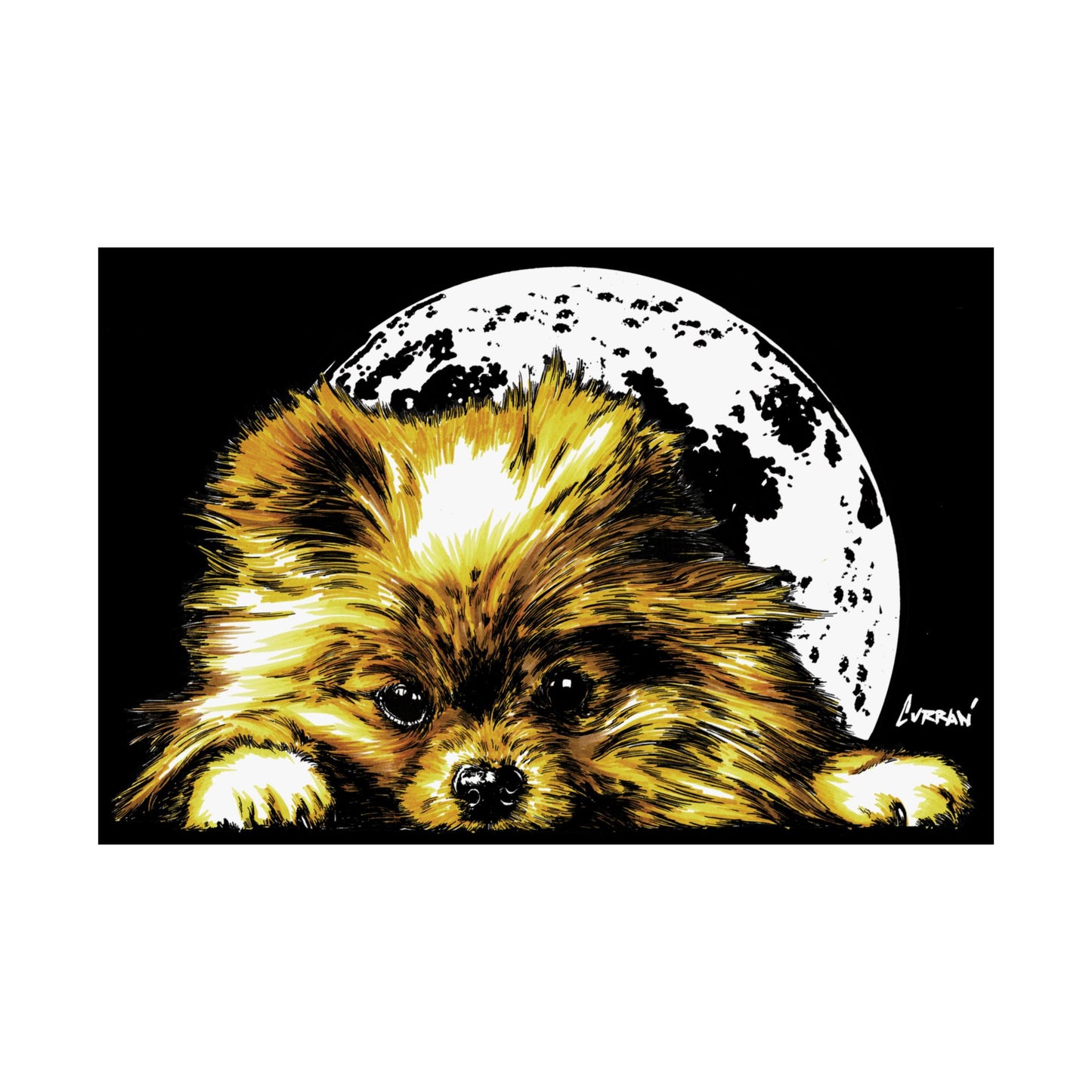 Beautiful Pomeranian Art Print - Satin Poster (300gsm)