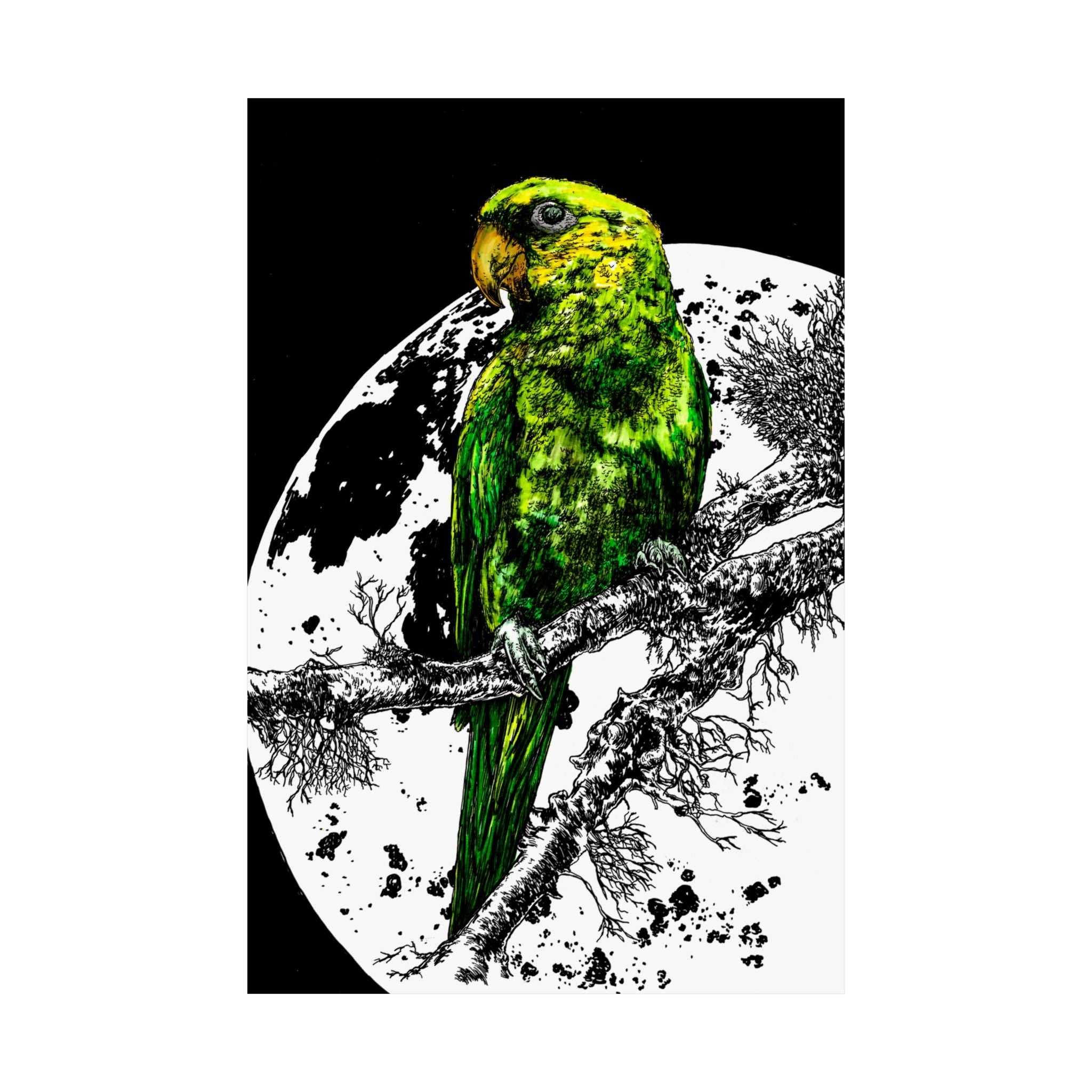 Green Parrot Satin Poster - Colorful Wall Art for Home Decor featuring the beautifully hand drawn and colored original wall art animal poster by Kris Curran.