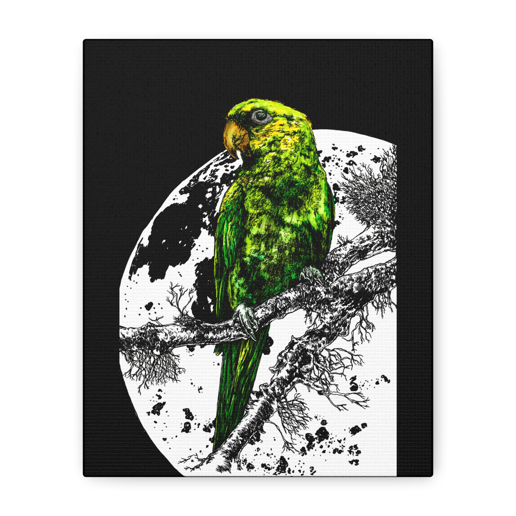 Green Parrot Wall Art Print - Matte Canvas, Stretched,
