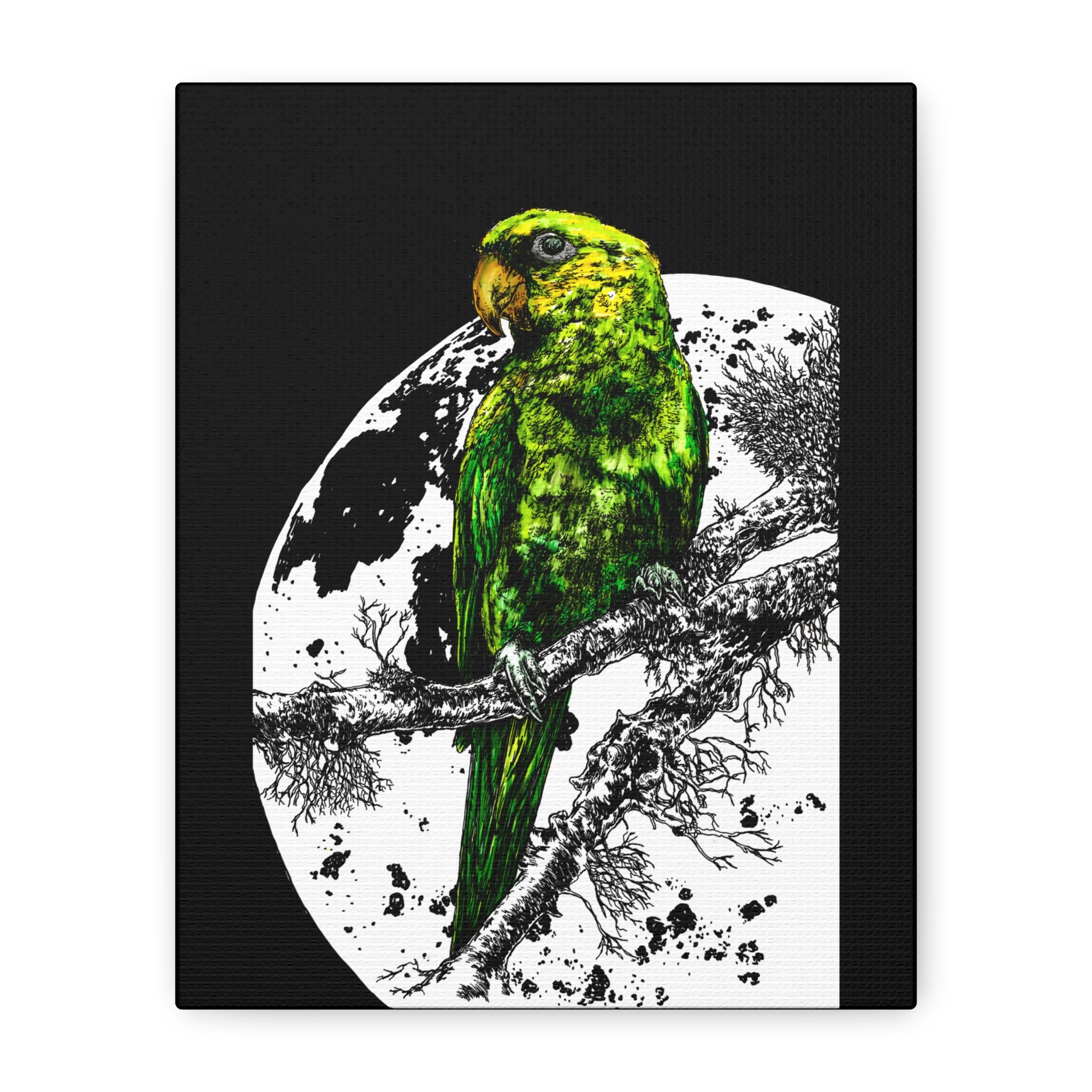 Green Parrot Wall Art Print - Matte Canvas, Stretched,