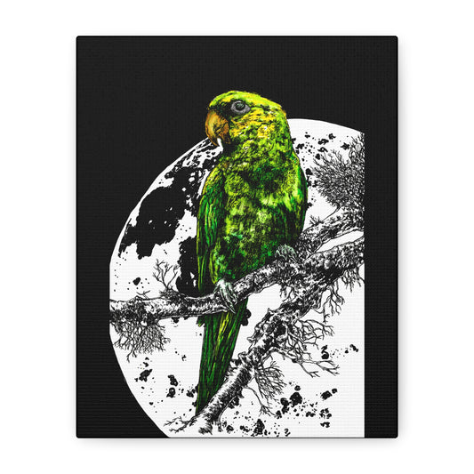 Green Parrot Wall Art Print - Matte Canvas, Stretched,