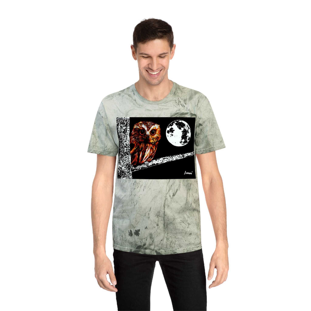 Owl on a Branch Color Blast T Shirt Original Hand Drawn Art