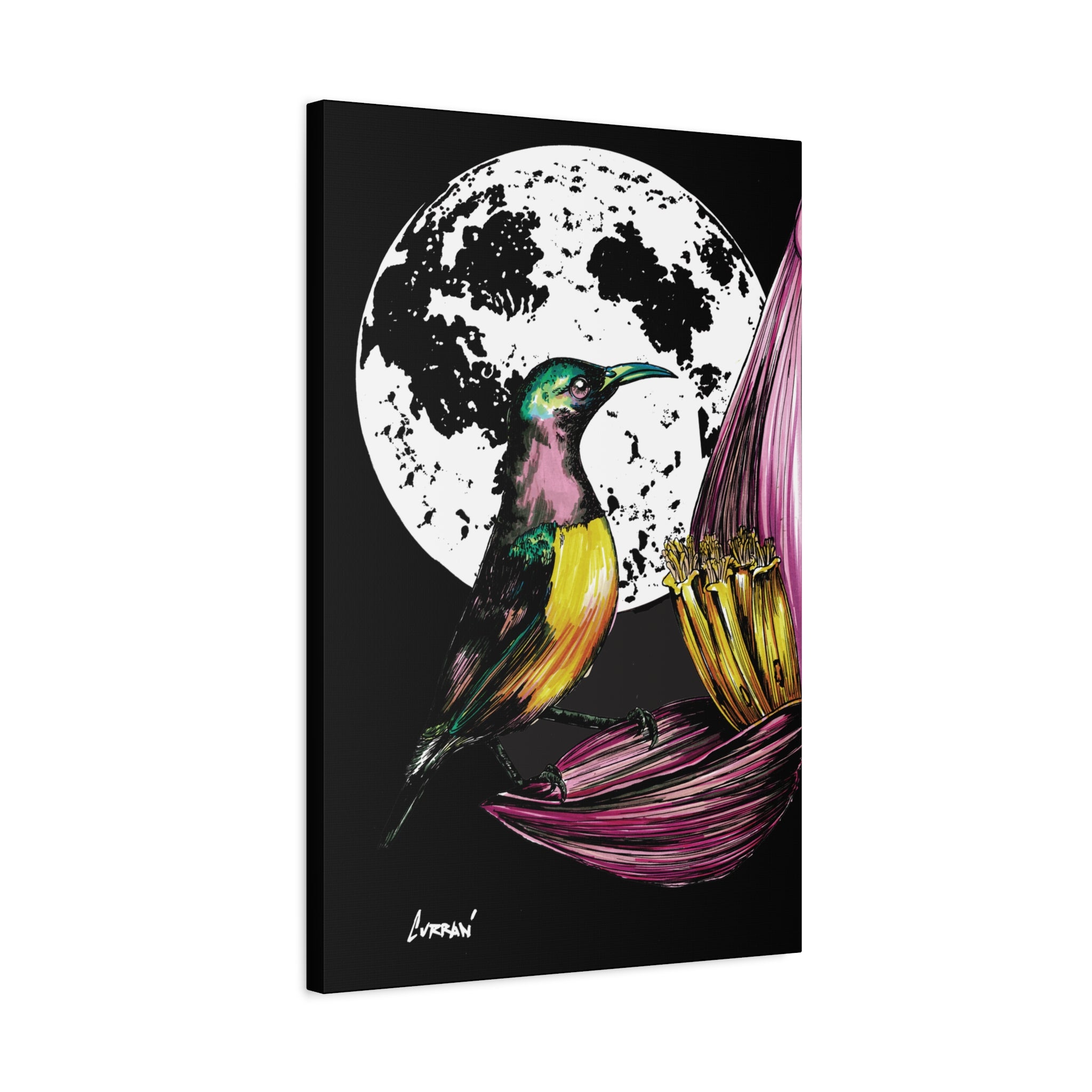 Hummingbird Wall Art Print of the Original, hand drawn