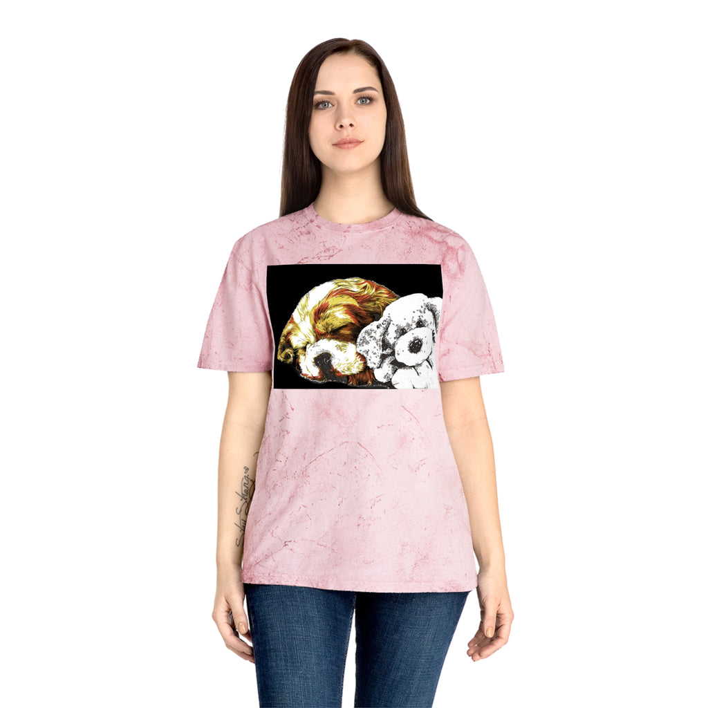 Color Blast Cocker Spaniel Unisex T-Shirt