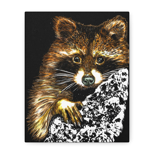 Raccoon in Tree Wall Art Canvas Print of the Original, hand drawn wall art of a Raccoon in a Tree