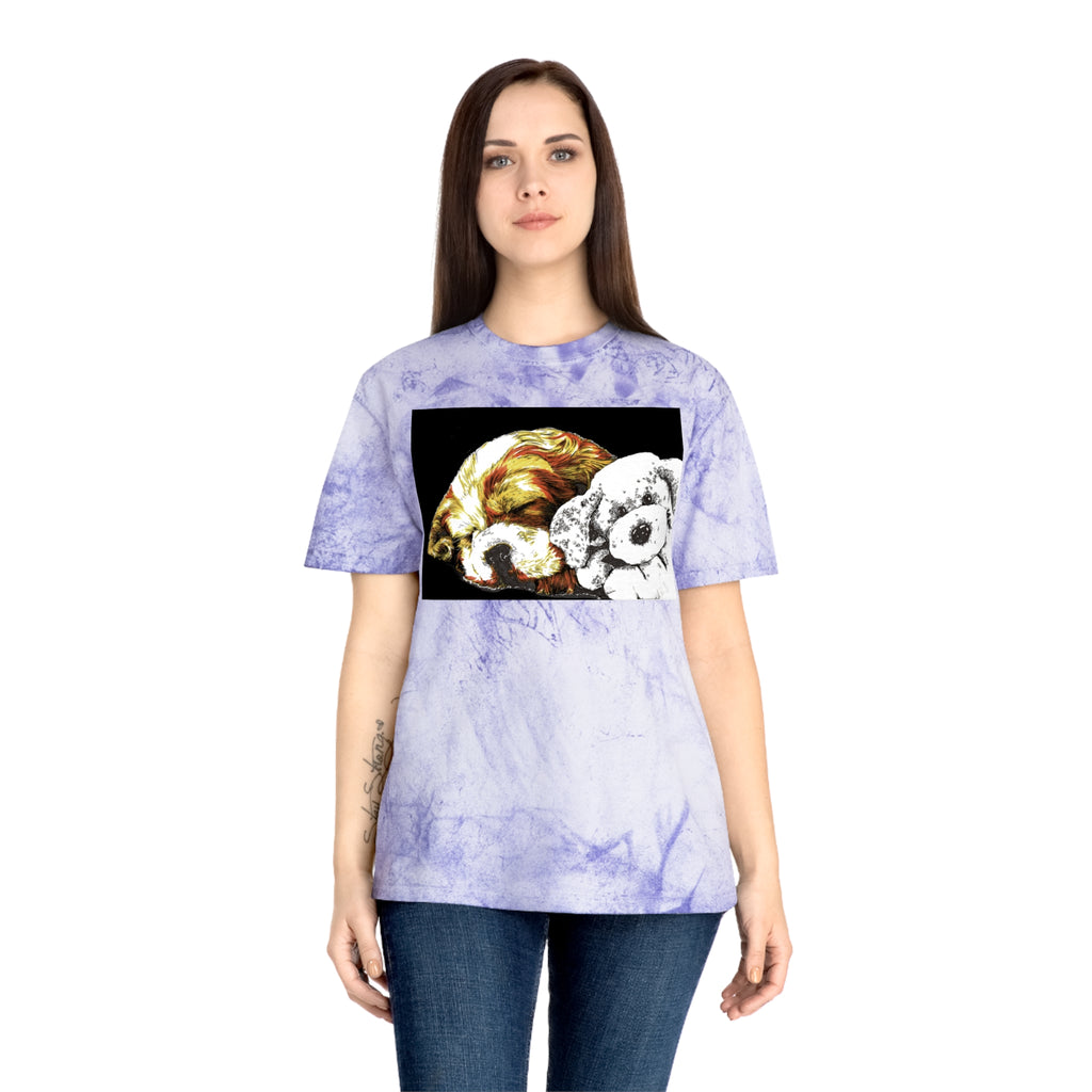 Color Blast Cocker Spaniel Unisex T-Shirt