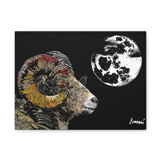 Mountain Ram Canvas Print - Art Print on Stretched Canvas