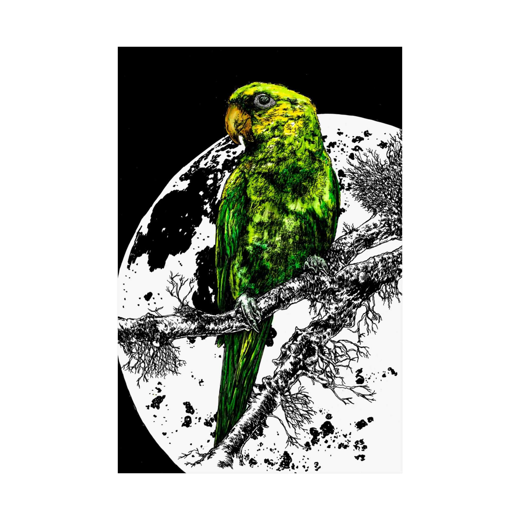 Green Parrot Satin Poster - Colorful Wall Art for Home Decor featuring the beautifully hand drawn and colored original wall art animal poster by Kris Curran.