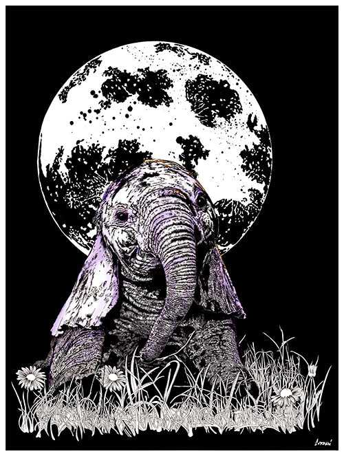 Baby Elephant Wall Art Poster