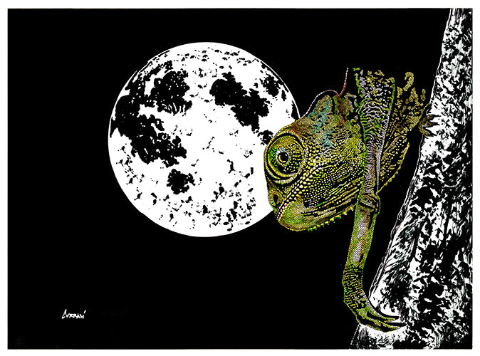 Chameleon Original Hand Drawn Wall Art Poster