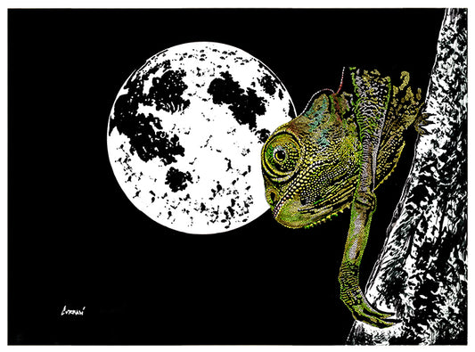Chameleon Original Hand Drawn Wall Art Poster