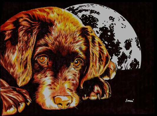 Chocolate Lab Puppy in the Moonlight Wall Art Poster