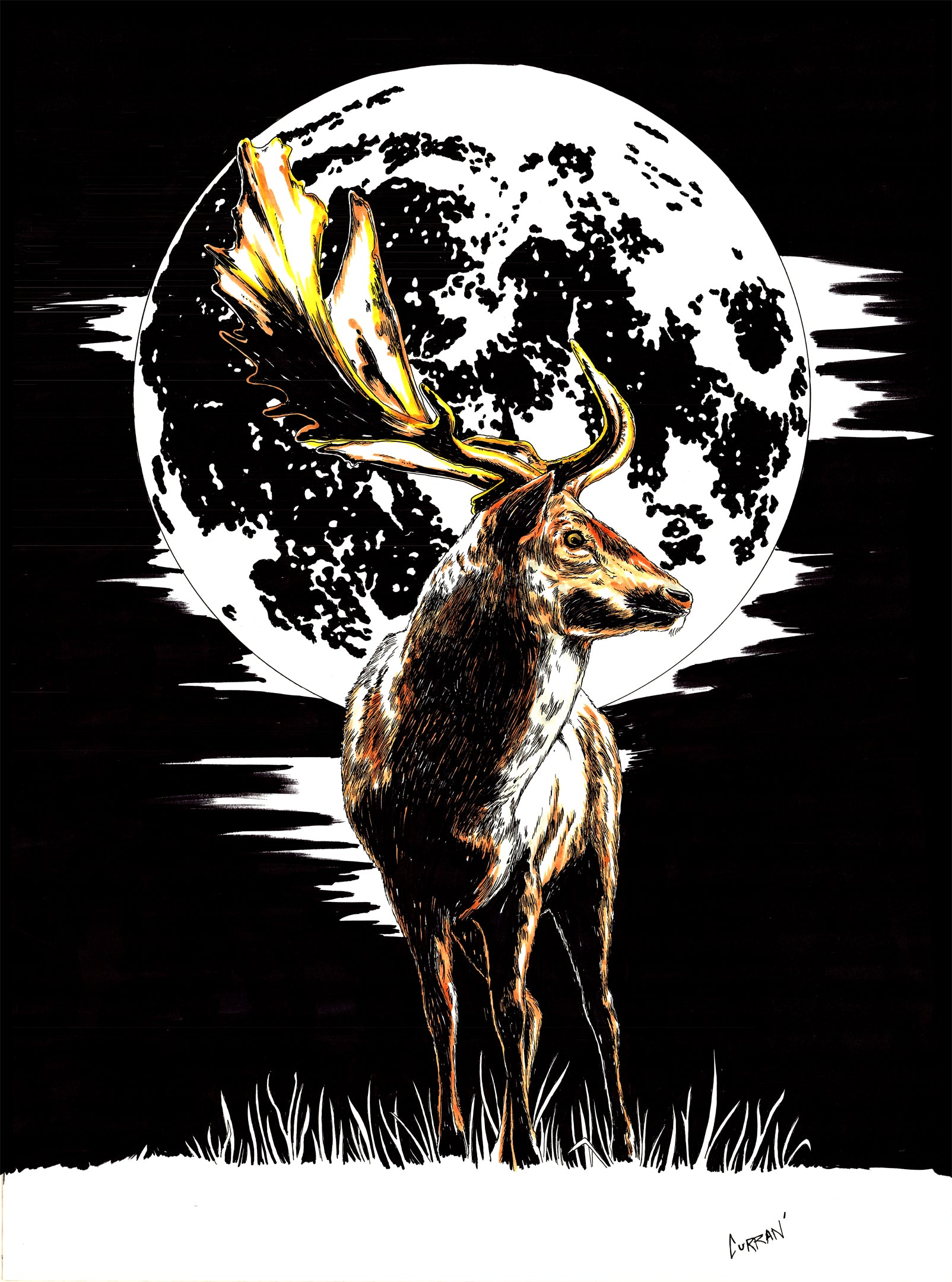 Deer Original Hand Drawn Wall Art Animal Poster