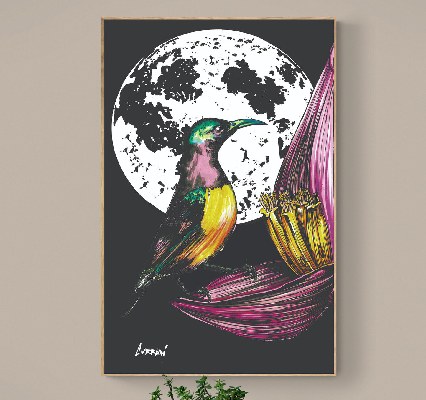 Hummingbird Original Hand Drawn Wall Art Poster
