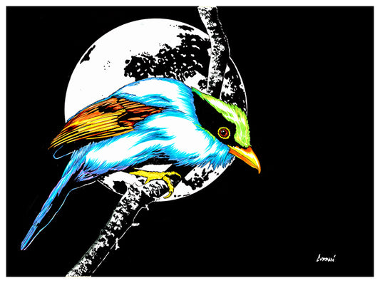 Exotic Bird Original Hand Drawn Wall Art Poster